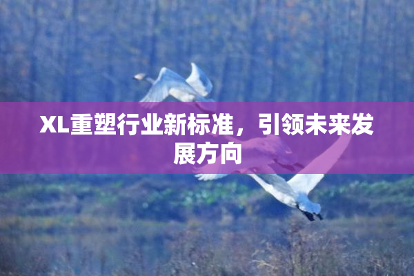 XL重塑行业新标准，引领未来发展方向