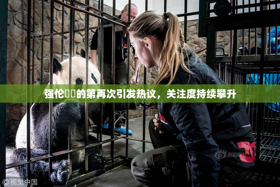 强伦妺妺的第再次引发热议，关注度持续攀升
