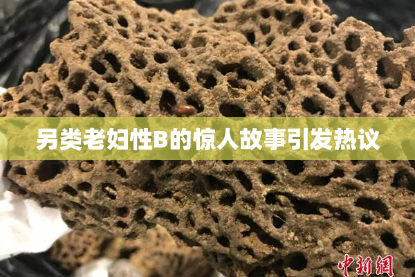 另类老妇性B的惊人故事引发热议
