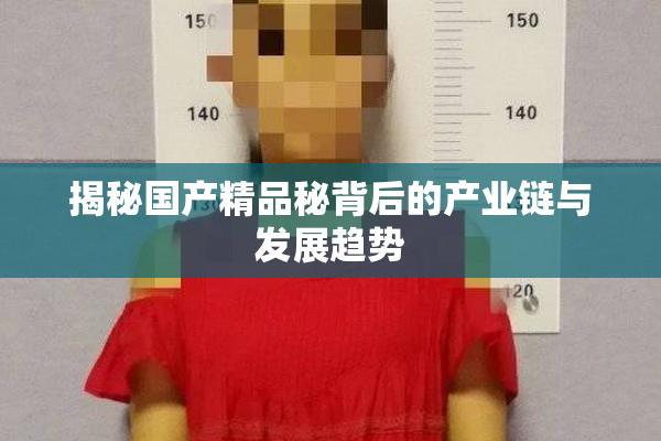 揭秘国产精品秘背后的产业链与发展趋势