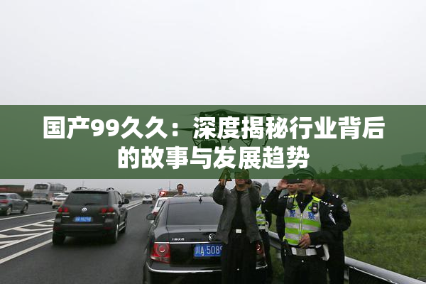 国产99久久：深度揭秘行业背后的故事与发展趋势