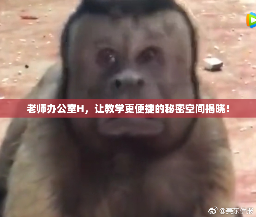 老师办公室H，让教学更便捷的秘密空间揭晓！