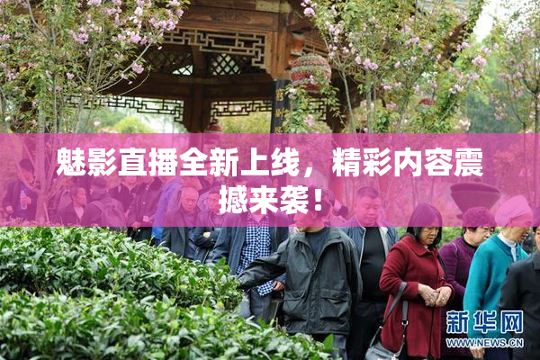 魅影直播全新上线，精彩内容震撼来袭！