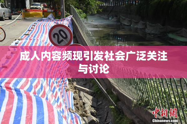 成人内容频现引发社会广泛关注与讨论