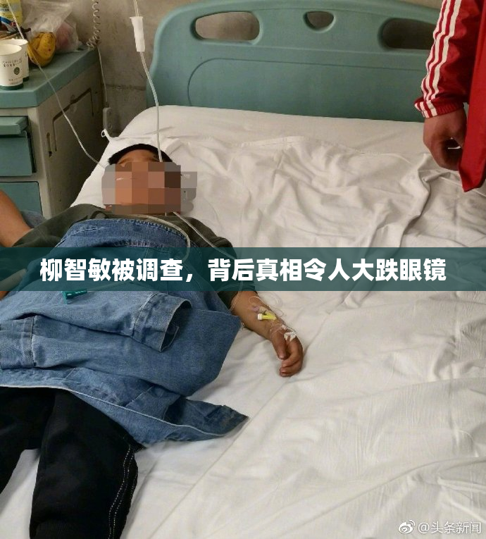 柳智敏被调查，背后真相令人大跌眼镜