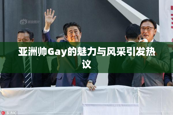 亚洲帅Gay的魅力与风采引发热议