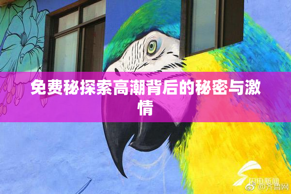 免费秘探索高潮背后的秘密与激情