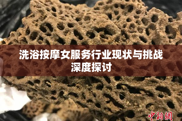 洗浴按摩女服务行业现状与挑战深度探讨