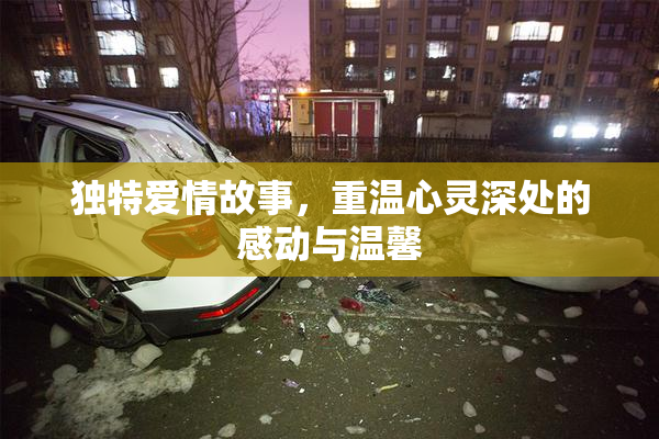 独特爱情故事，重温心灵深处的感动与温馨