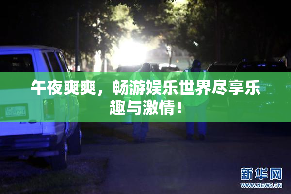 午夜爽爽，畅游娱乐世界尽享乐趣与激情！