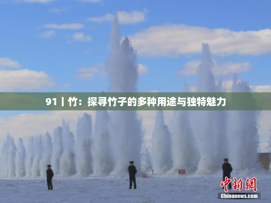 91丨竹：探寻竹子的多种用途与独特魅力