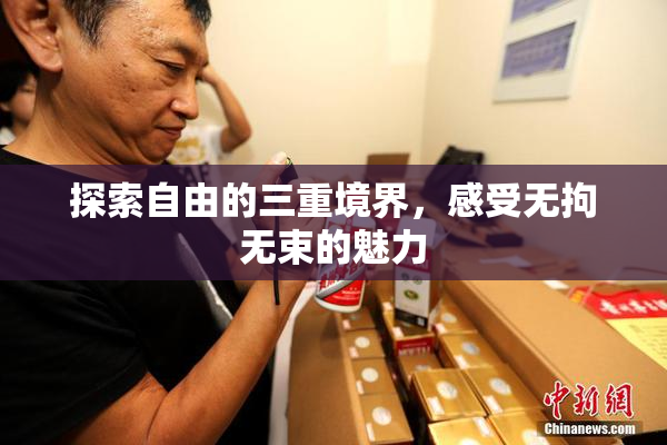 探索自由的三重境界，感受无拘无束的魅力