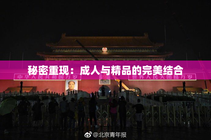 秘密重现：成人与精品的完美结合