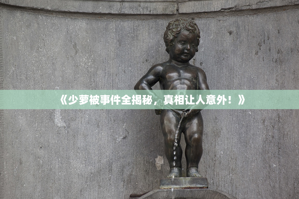 《少萝被事件全揭秘，真相让人意外！》