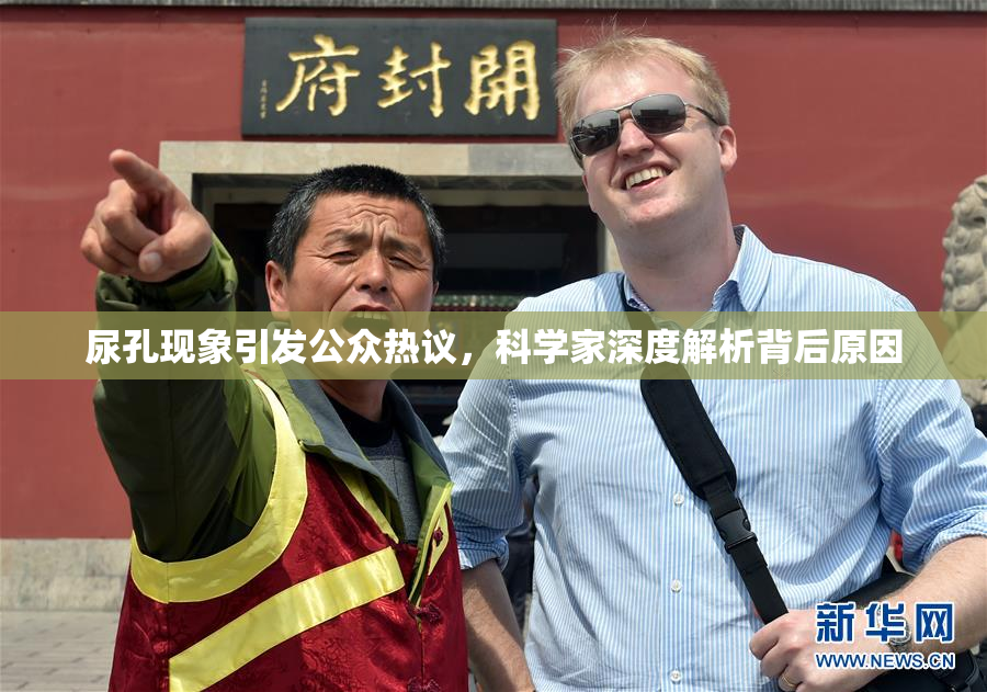 尿孔现象引发公众热议，科学家深度解析背后原因