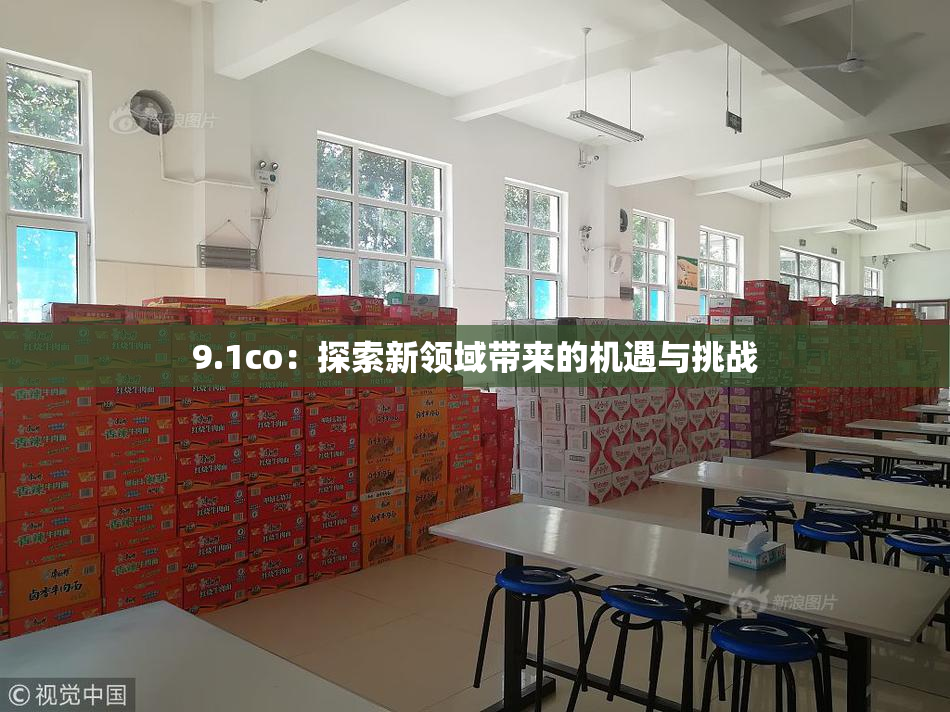 9.1co：探索新领域带来的机遇与挑战