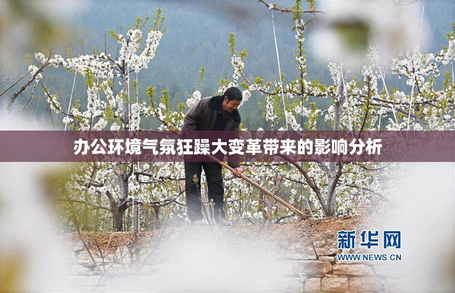 办公环境气氛狂躁大变革带来的影响分析