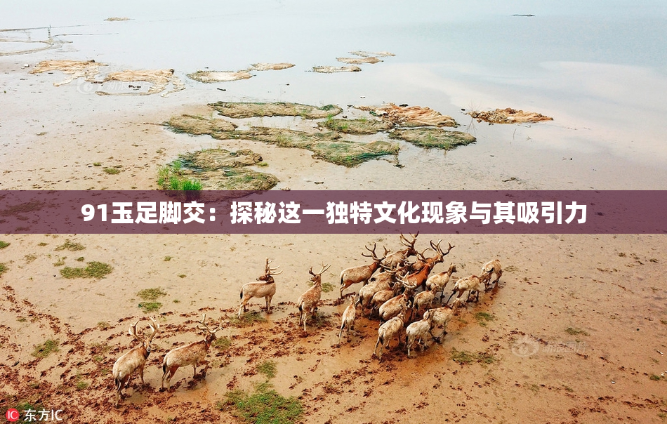 91玉足脚交：探秘这一独特文化现象与其吸引力
