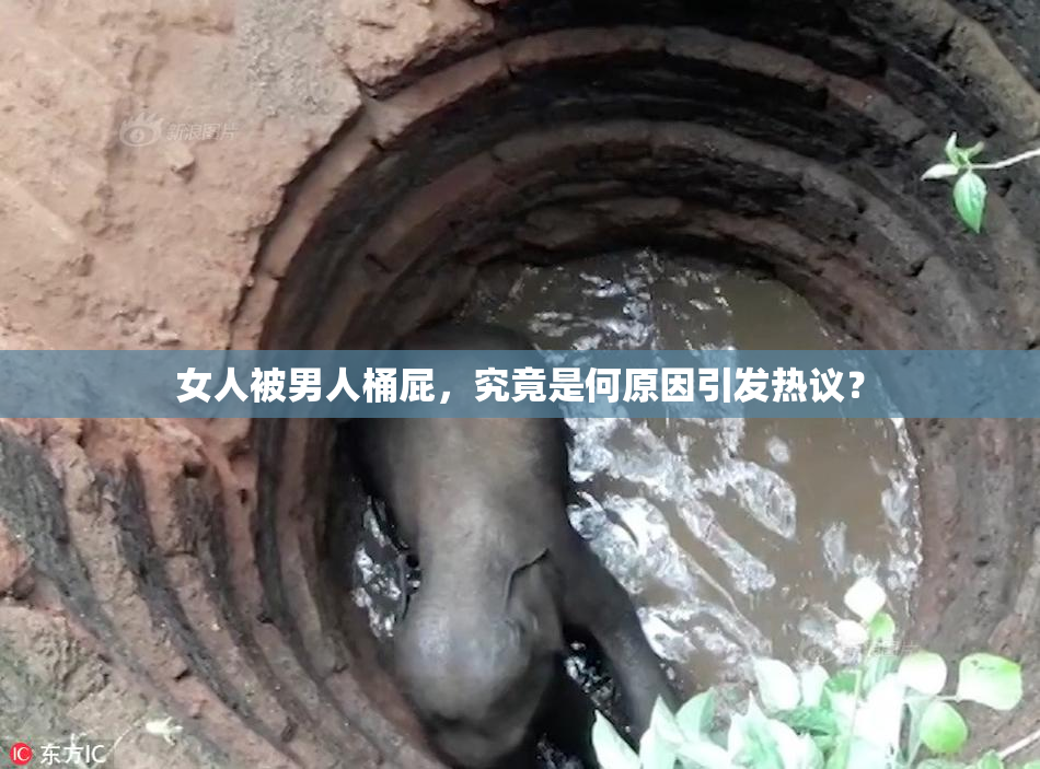 女人被男人桶屁，究竟是何原因引发热议？