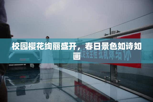 校园樱花绚丽盛开，春日景色如诗如画