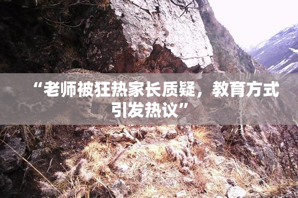 “老师被狂热家长质疑，教育方式引发热议”