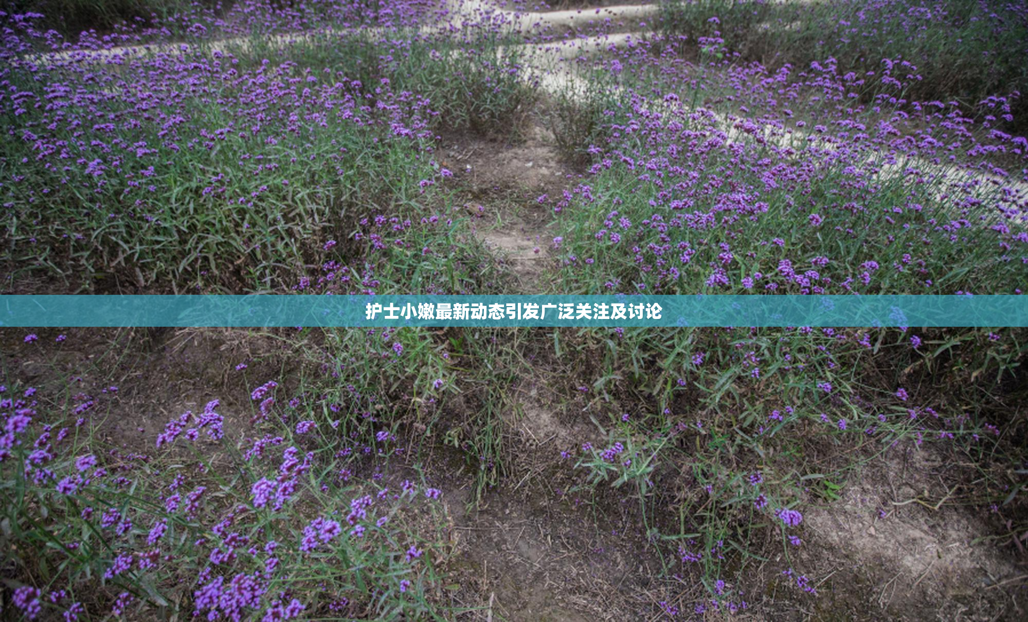 护士小嫩最新动态引发广泛关注及讨论
