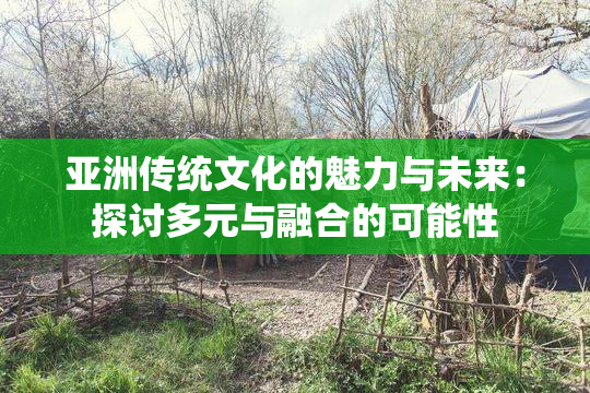 亚洲传统文化的魅力与未来：探讨多元与融合的可能性