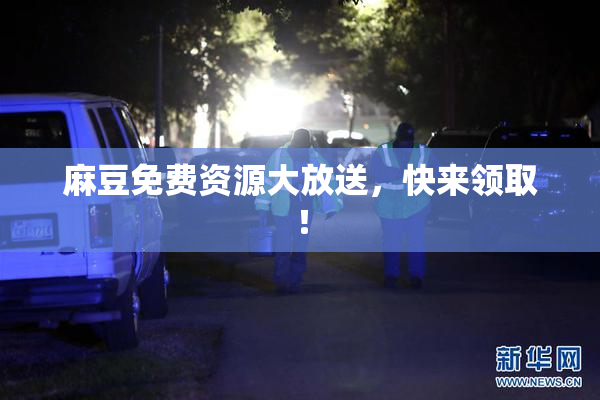 麻豆免费资源大放送，快来领取！
