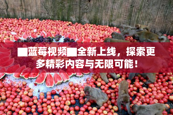 ▇蓝莓视频▇全新上线，探索更多精彩内容与无限可能！