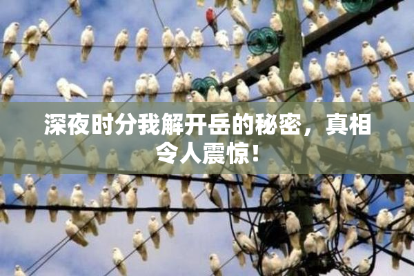 深夜时分我解开岳的秘密，真相令人震惊！