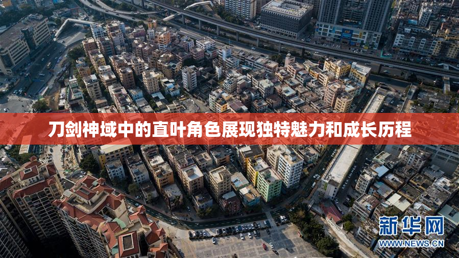 刀剑神域中的直叶角色展现独特魅力和成长历程