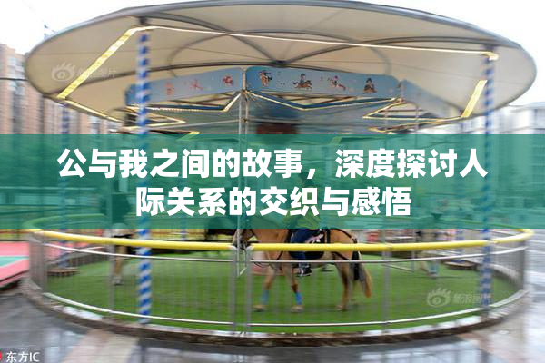 公与我之间的故事，深度探讨人际关系的交织与感悟