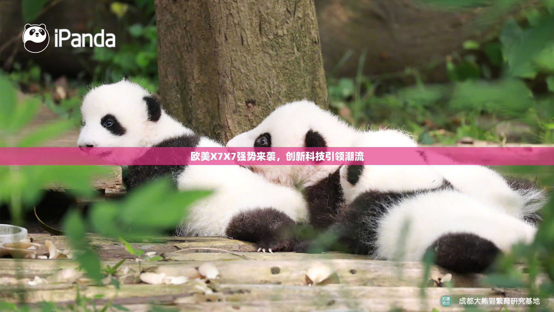 欧美X7X7强势来袭，创新科技引领潮流
