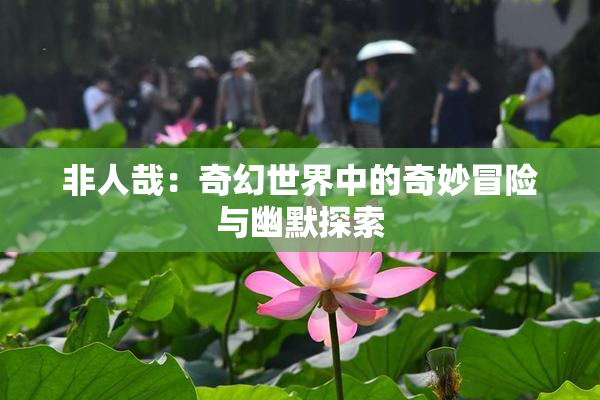 非人哉：奇幻世界中的奇妙冒险与幽默探索