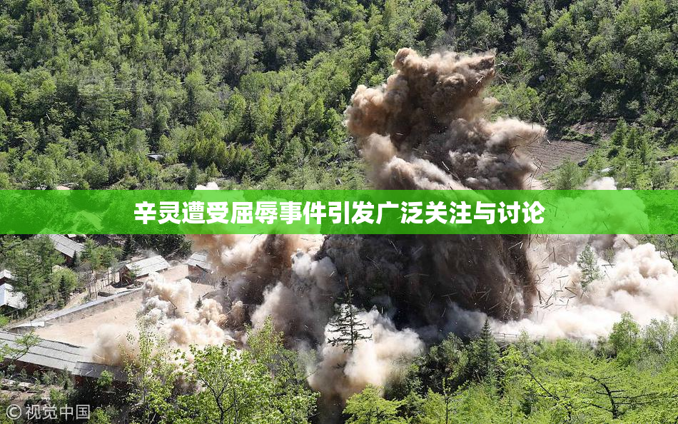 辛灵遭受屈辱事件引发广泛关注与讨论