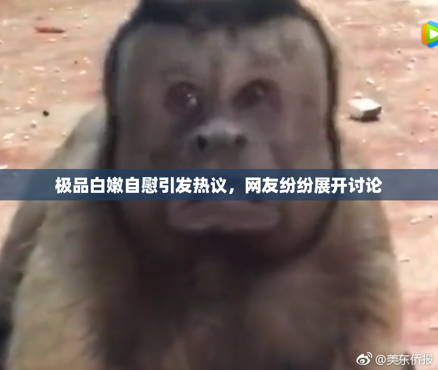 极品白嫩自慰引发热议，网友纷纷展开讨论