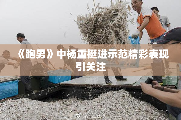 《跑男》中杨重挺进示范精彩表现引关注