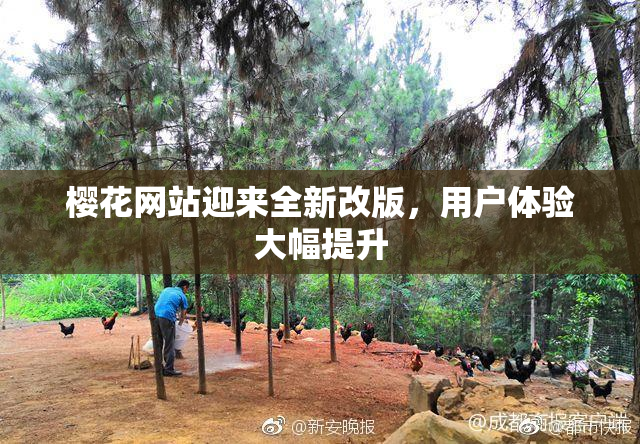 樱花网站迎来全新改版，用户体验大幅提升