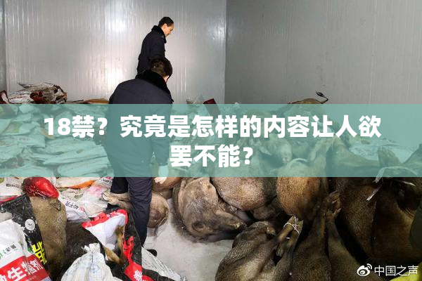 18禁？究竟是怎样的内容让人欲罢不能？