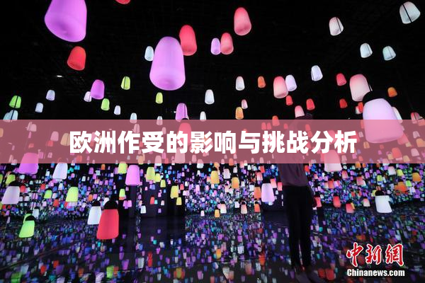 欧洲作受的影响与挑战分析