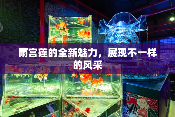 雨宫莲的全新魅力，展现不一样的风采