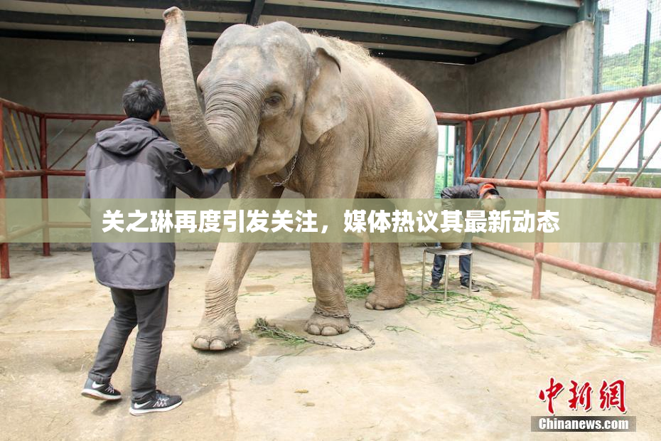 关之琳再度引发关注，媒体热议其最新动态