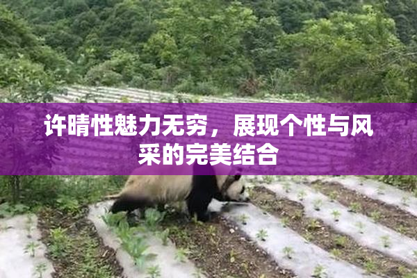 许晴性魅力无穷，展现个性与风采的完美结合