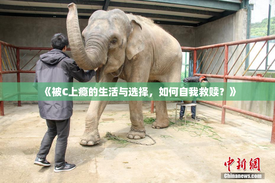 《被C上瘾的生活与选择，如何自我救赎？》