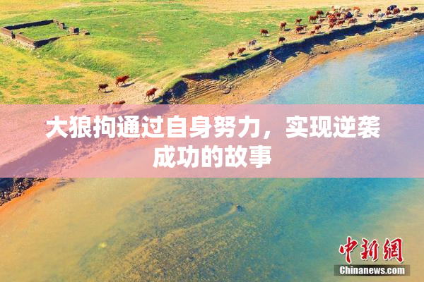 大狼拘通过自身努力，实现逆袭成功的故事