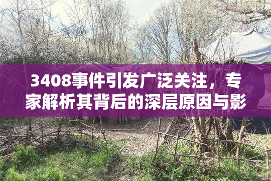 3408事件引发广泛关注，专家解析其背后的深层原因与影响
