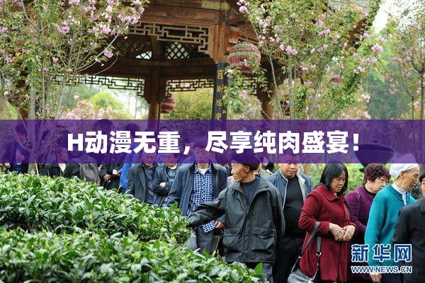 H动漫无重，尽享纯肉盛宴！