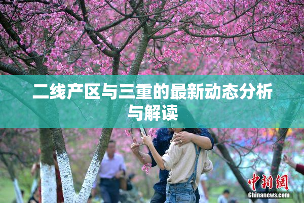 二线产区与三重的最新动态分析与解读