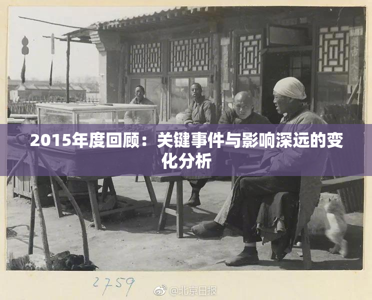 2015年度回顾：关键事件与影响深远的变化分析