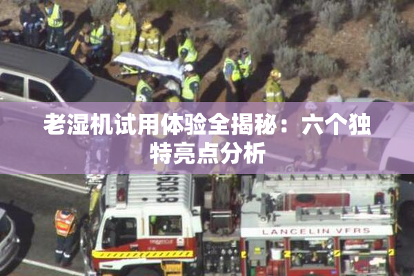 老湿机试用体验全揭秘：六个独特亮点分析